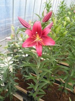 [1850 Montezuma No02.JPG]